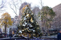 06-08 Christmas Tree At New York Madison Square Park.jpg